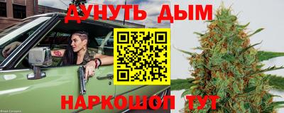 прущие крисы Будённовск