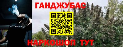 прущие крисы Будённовск