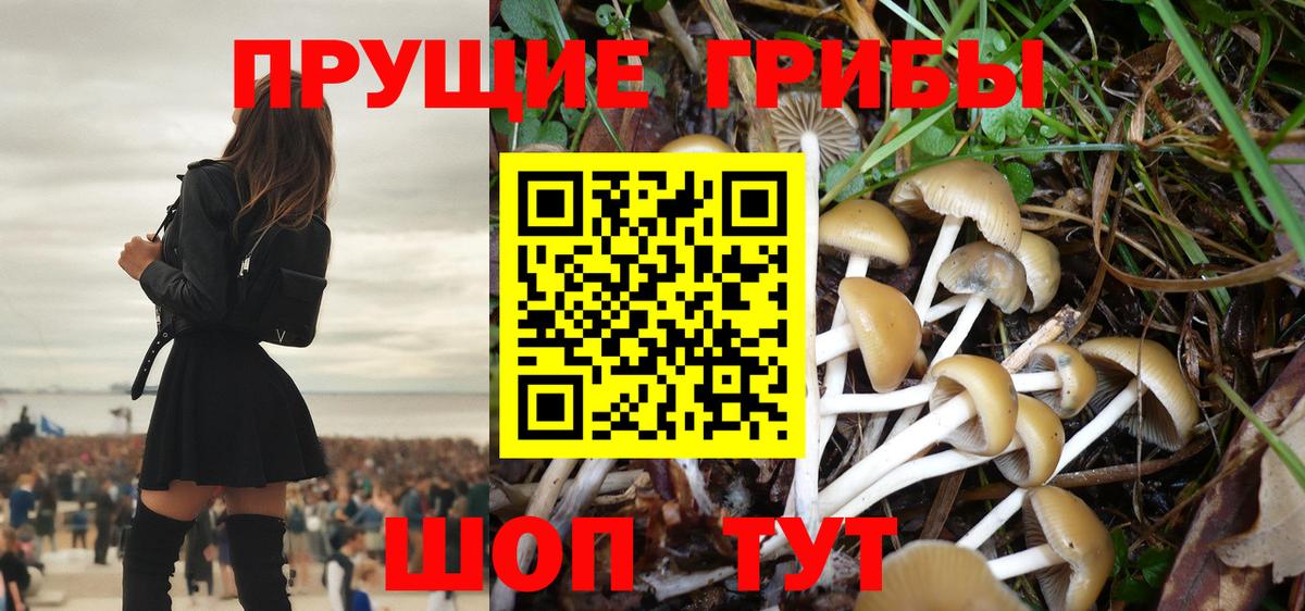 Псилоцибиновые грибы Magic Shrooms Партизанск