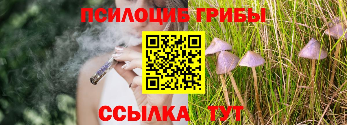 магазин продажи   Псилоцибиновые грибы мицелий  Вход с VPN  Партизанск 